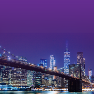 Travel Light USA<br> 2GB for 15 Days